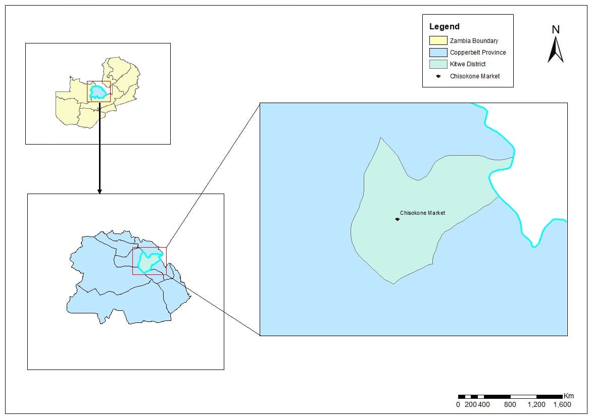 GIS Mapping